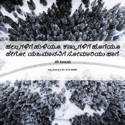 Picture 06 - ಜ್ಞಾನೋಕ್ತಿಗಳು 10:26 KANIRV - ಹಲ್ಲುಗಳಿಗೆ - Bible Verse Picture