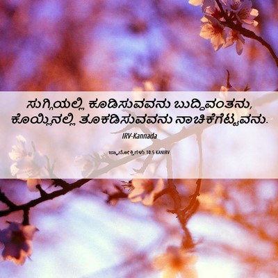 Picture 06 - ಜ್ಞಾನೋಕ್ತಿಗಳು 10:5 KANIRV - ಸುಗ್ಗಿಯಲ್ಲಿ - Bible Verse Picture