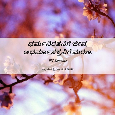 Picture 06 - ಜ್ಞಾನೋಕ್ತಿಗಳು 11:19 KANIRV - ಧರ್ಮನಿರತನಿಗೆ ಜೀವ, - Bible Verse Picture