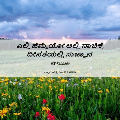 Picture 06 - ಜ್ಞಾನೋಕ್ತಿಗಳು 11:2 KANIRV - ಎಲ್ಲಿ ಹೆಮ್ಮೆಯೋ - Bible Verse Picture