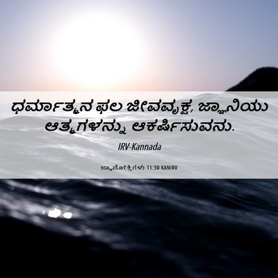 Picture 06 - ಜ್ಞಾನೋಕ್ತಿಗಳು 11:30 KANIRV - ಧರ್ಮಾತ್ಮನ ಫಲ - Bible Verse Picture