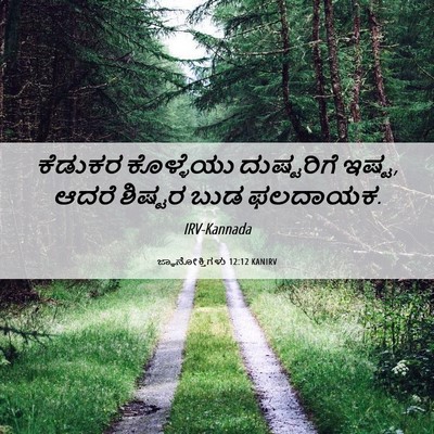 Picture 06 - ಜ್ಞಾನೋಕ್ತಿಗಳು 12:12 KANIRV - ಕೆಡುಕರ ಕೊಳ್ಳೆಯು - Bible Verse Picture