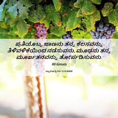 Picture 06 - ಜ್ಞಾನೋಕ್ತಿಗಳು 13:16 KANIRV - ಪ್ರತಿಯೊಬ್ಬ ಜಾಣನು - Bible Verse Picture