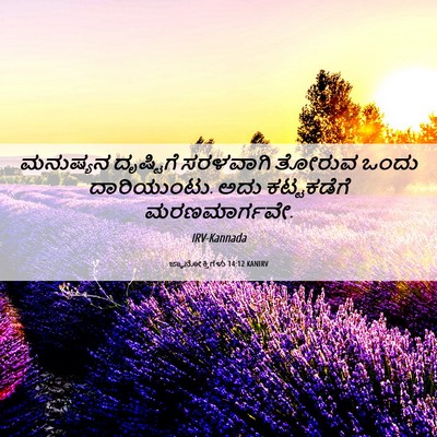 Picture 06 - ಜ್ಞಾನೋಕ್ತಿಗಳು 14:12 KANIRV - ಮನುಷ್ಯನ ದೃಷ್ಟಿಗೆ - Bible Verse Picture