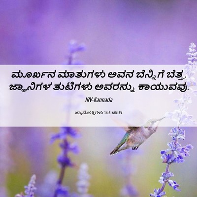Picture 06 - ಜ್ಞಾನೋಕ್ತಿಗಳು 14:3 KANIRV - ಮೂರ್ಖನ ಮಾತುಗಳು - Bible Verse Picture