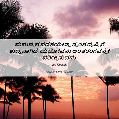 Picture 06 - ಜ್ಞಾನೋಕ್ತಿಗಳು 16:2 KANIRV - ಮನುಷ್ಯನ - Bible Verse Picture