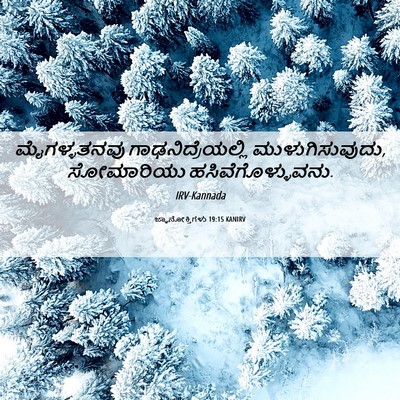 Picture 06 - ಜ್ಞಾನೋಕ್ತಿಗಳು 19:15 KANIRV - ಮೈಗಳ್ಳತನವು - Bible Verse Picture