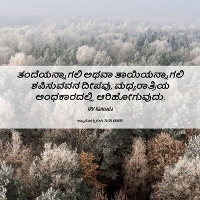 Picture 06 - ಜ್ಞಾನೋಕ್ತಿಗಳು 20:20 KANIRV - ತಂದೆಯನ್ನಾಗಲಿ ಅಥವಾ - Bible Verse Picture