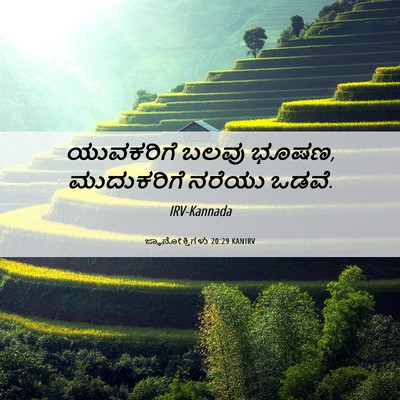 Picture 06 - ಜ್ಞಾನೋಕ್ತಿಗಳು 20:29 KANIRV - ಯುವಕರಿಗೆ ಬಲವು - Bible Verse Picture