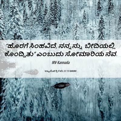 Picture 06 - ಜ್ಞಾನೋಕ್ತಿಗಳು 22:13 KANIRV - “ಹೊರಗೆ ಸಿಂಹವಿದೆ, - Bible Verse Picture