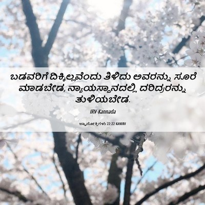 Picture 06 - ಜ್ಞಾನೋಕ್ತಿಗಳು 22:22 KANIRV - ಬಡವರಿಗೆ - Bible Verse Picture