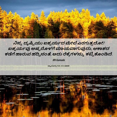 Picture 06 - ಜ್ಞಾನೋಕ್ತಿಗಳು 23:5 KANIRV - ನಿನ್ನ ದೃಷ್ಟಿಯು - Bible Verse Picture