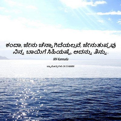 Picture 06 - ಜ್ಞಾನೋಕ್ತಿಗಳು 24:13 KANIRV - ಕಂದಾ, ಜೇನು - Bible Verse Picture