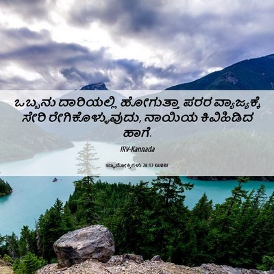 Picture 06 - ಜ್ಞಾನೋಕ್ತಿಗಳು 26:17 KANIRV - ಒಬ್ಬನು ದಾರಿಯಲ್ಲಿ - Bible Verse Picture