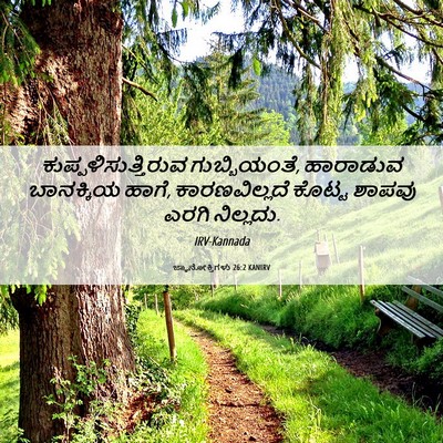 Picture 06 - ಜ್ಞಾನೋಕ್ತಿಗಳು 26:2 KANIRV - ಕುಪ್ಪಳಿಸುತ್ತಿರುವ - Bible Verse Picture