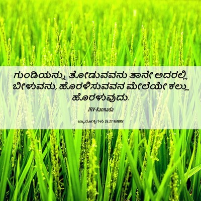 Picture 06 - ಜ್ಞಾನೋಕ್ತಿಗಳು 26:27 KANIRV - ಗುಂಡಿಯನ್ನು - Bible Verse Picture