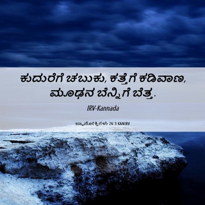 Picture 06 - ಜ್ಞಾನೋಕ್ತಿಗಳು 26:3 KANIRV - ಕುದುರೆಗೆ ಚಬುಕು, - Bible Verse Picture