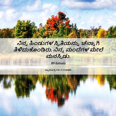 Picture 06 - ಜ್ಞಾನೋಕ್ತಿಗಳು 27:23 KANIRV - ನಿನ್ನ ಹಿಂಡುಗಳ - Bible Verse Picture