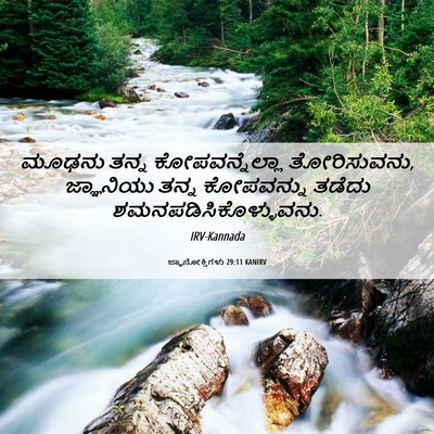 Picture 06 - ಜ್ಞಾನೋಕ್ತಿಗಳು 29:11 KANIRV - ಮೂಢನು ತನ್ನ - Bible Verse Picture