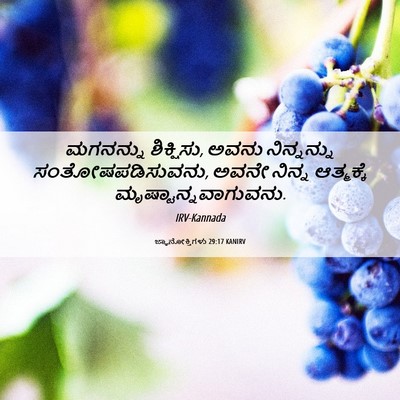 Picture 06 - ಜ್ಞಾನೋಕ್ತಿಗಳು 29:17 KANIRV - ಮಗನನ್ನು ಶಿಕ್ಷಿಸು, - Bible Verse Picture