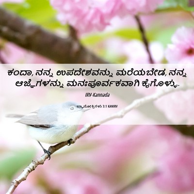 Picture 06 - ಜ್ಞಾನೋಕ್ತಿಗಳು 3:1 KANIRV - ಕಂದಾ, ನನ್ನ - Bible Verse Picture