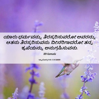 Picture 06 - ಜ್ಞಾನೋಕ್ತಿಗಳು 3:34 KANIRV - ಯಾರು ಧರ್ಮವನ್ನು - Bible Verse Picture