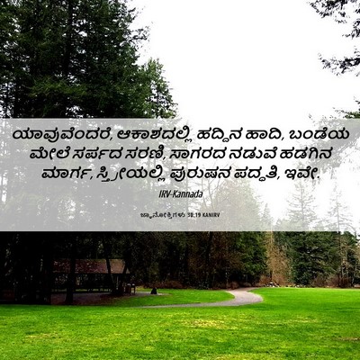 Picture 06 - ಜ್ಞಾನೋಕ್ತಿಗಳು 30:19 KANIRV - ಯಾವುವೆಂದರೆ, - Bible Verse Picture