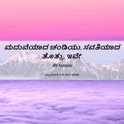 Picture 06 - ಜ್ಞಾನೋಕ್ತಿಗಳು 30:23 KANIRV - ಮದುವೆಯಾದ ಚಂಡಿಯು, - Bible Verse Picture