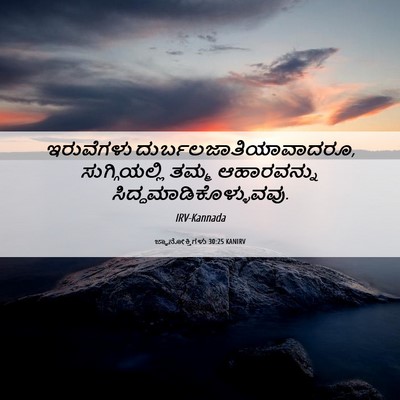 Picture 06 - ಜ್ಞಾನೋಕ್ತಿಗಳು 30:25 KANIRV - ಇರುವೆಗಳು - Bible Verse Picture