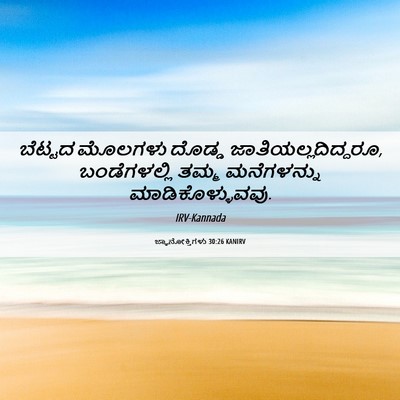 Picture 06 - ಜ್ಞಾನೋಕ್ತಿಗಳು 30:26 KANIRV - ಬೆಟ್ಟದ ಮೊಲಗಳು - Bible Verse Picture