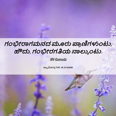 Picture 06 - ಜ್ಞಾನೋಕ್ತಿಗಳು 30:29 KANIRV - ಗಂಭೀರಾಗಮನದ ಮೂರು - Bible Verse Picture