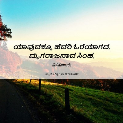 Picture 06 - ಜ್ಞಾನೋಕ್ತಿಗಳು 30:30 KANIRV - ಯಾವುದಕ್ಕೂ ಹೆದರಿ - Bible Verse Picture