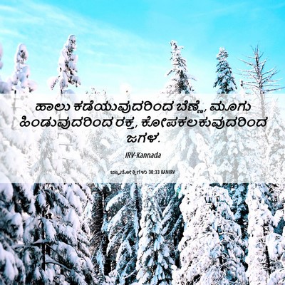Picture 06 - ಜ್ಞಾನೋಕ್ತಿಗಳು 30:33 KANIRV - ಹಾಲು ಕಡೆಯುವುದರಿಂದ - Bible Verse Picture