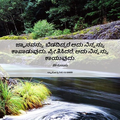 Picture 06 - ಜ್ಞಾನೋಕ್ತಿಗಳು 4:6 KANIRV - ಜ್ಞಾನವನ್ನು - Bible Verse Picture