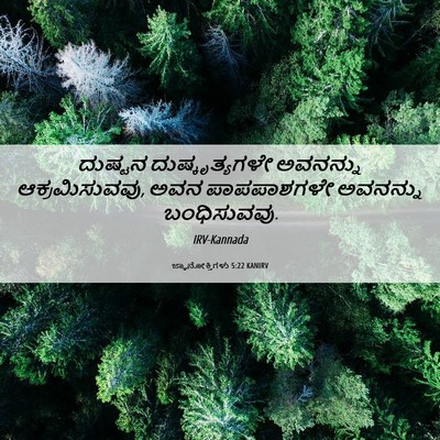 Picture 06 - ಜ್ಞಾನೋಕ್ತಿಗಳು 5:22 KANIRV - ದುಷ್ಟನ - Bible Verse Picture