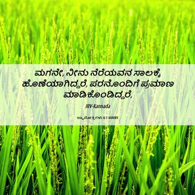 Picture 06 - ಜ್ಞಾನೋಕ್ತಿಗಳು 6:1 KANIRV - ಮಗನೇ, ನೀನು ನೆರೆಯವನ - Bible Verse Picture