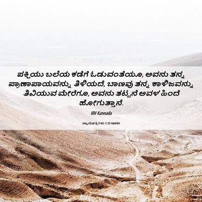 Picture 06 - ಜ್ಞಾನೋಕ್ತಿಗಳು 7:23 KANIRV - ಪಕ್ಷಿಯು ಬಲೆಯ - Bible Verse Picture