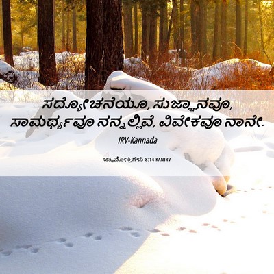 Picture 06 - ಜ್ಞಾನೋಕ್ತಿಗಳು 8:14 KANIRV - ಸದ್ಯೋಚನೆಯೂ, - Bible Verse Picture