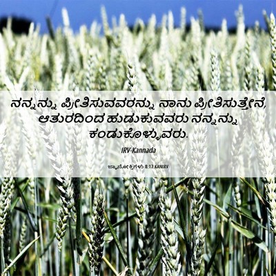 Picture 06 - ಜ್ಞಾನೋಕ್ತಿಗಳು 8:17 KANIRV - ನನ್ನನ್ನು - Bible Verse Picture