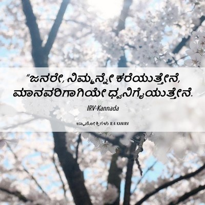 Picture 06 - ಜ್ಞಾನೋಕ್ತಿಗಳು 8:4 KANIRV - “ಜನರೇ, ನಿಮ್ಮನ್ನೇ - Bible Verse Picture