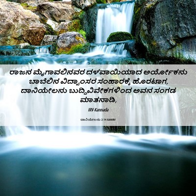 Picture 06 - ದಾನಿಯೇಲನು 2:14 KANIRV - ರಾಜನ ಮೈಗಾವಲಿನವರ - Bible Verse Picture