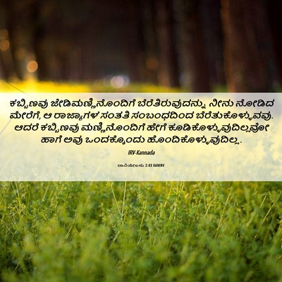 Picture 06 - ದಾನಿಯೇಲನು 2:43 KANIRV - ಕಬ್ಬಿಣವು - Bible Verse Picture