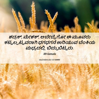 Picture 06 - ದಾನಿಯೇಲನು 3:23 KANIRV - ಶದ್ರಕ್, ಮೇಶಕ್, - Bible Verse Picture