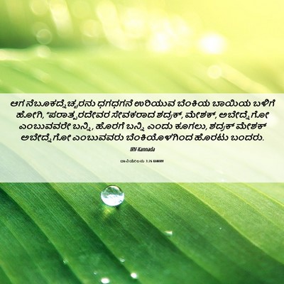 Picture 06 - ದಾನಿಯೇಲನು 3:26 KANIRV - ಆಗ - Bible Verse Picture