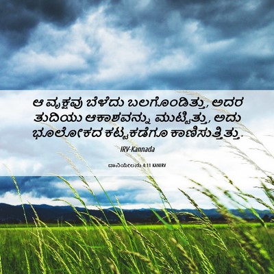 Picture 06 - ದಾನಿಯೇಲನು 4:11 KANIRV - ಆ ವೃಕ್ಷವು ಬೆಳೆದು - Bible Verse Picture