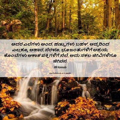 Picture 06 - ದಾನಿಯೇಲನು 4:12 KANIRV - ಅದರ ಎಲೆಗಳು ಅಂದ, - Bible Verse Picture