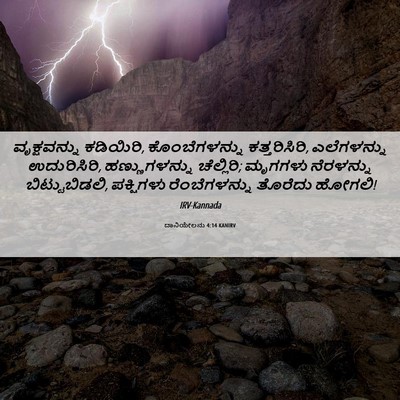 Picture 06 - ದಾನಿಯೇಲನು 4:14 KANIRV - ವೃಕ್ಷವನ್ನು - Bible Verse Picture