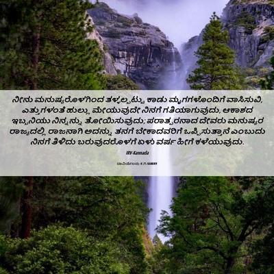 Picture 06 - ದಾನಿಯೇಲನು 4:25 KANIRV - ನೀನು - Bible Verse Picture