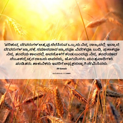Picture 06 - ದಾನಿಯೇಲನು 5:11 KANIRV - “ಪರಿಶುದ್ಧ ದೇವರುಗಳ - Bible Verse Picture