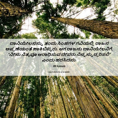 Picture 06 - ದಾನಿಯೇಲನು 6:16 KANIRV - ದಾನಿಯೇಲನನ್ನು ತಂದು - Bible Verse Picture